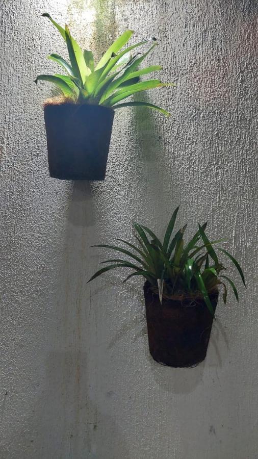 Pousada Vila Mar Araquari Exteriör bild